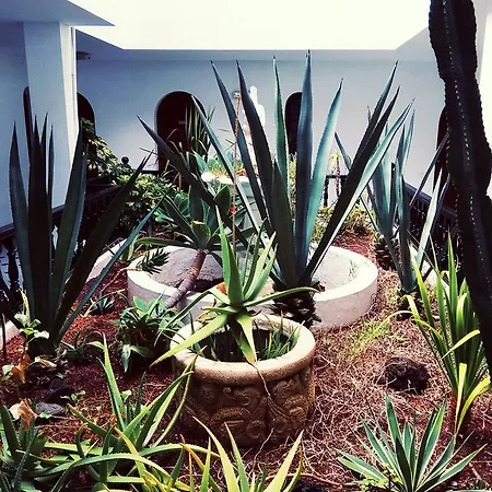 Fuerteventura Calle Bajo Amarillo 27-c Holiday home Corralejo